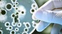 Urgente, tener nuevos antibióticos ante las mutaciones de bacterias: premio Nobel Ada Yonath