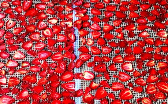 Patentan obtención de antioxidantes de la fresa con beneficios al cerebro