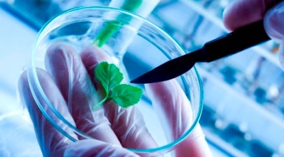 Biotecnología impulsa la innovación en México