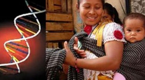 Estudian genoma completo de poblaciones indígenas en México