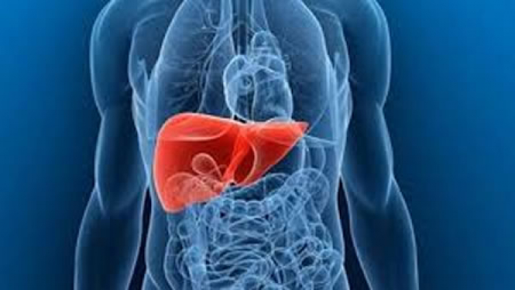 Recomendaciones para tener un hígado sano