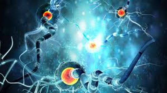Epilepsia y embarazo: Lo que necesitas saber