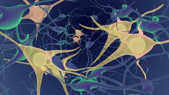 Esclerosis Múltiple, enfermedad incurable que afecta a más de 20 mil mexicanos