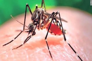 Se da el primer caso de microcefalia asociado con zika en México