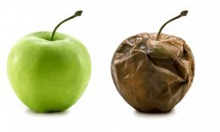 Estrés oxidativo, un riesgo latente a lo largo de nuestra vida