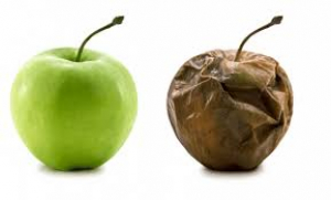 Estrés oxidativo, un riesgo latente a lo largo de nuestra vida