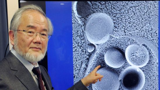 El Nobel de Medicina para un Sistema de Control de Calidad en Proteínas: experto