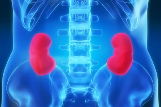 Presentan el documento “Política Nacional para la Prevención y Atención de la Enfermedad Renal Crónica en México”