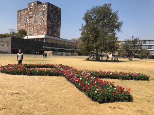 ENTS-UNAM y Juntos Contra el Cáncer realizan Seminario Digital sobre cáncer