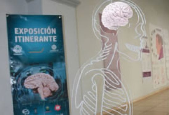 Exposición itinerante, fomenta conocimiento y concientización sobre padecimientos neurodegenerativos