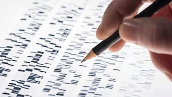 Mayo Clinic descubre asociación entre terapia para enfermedad autoinmune y trastornos de la médula ósea