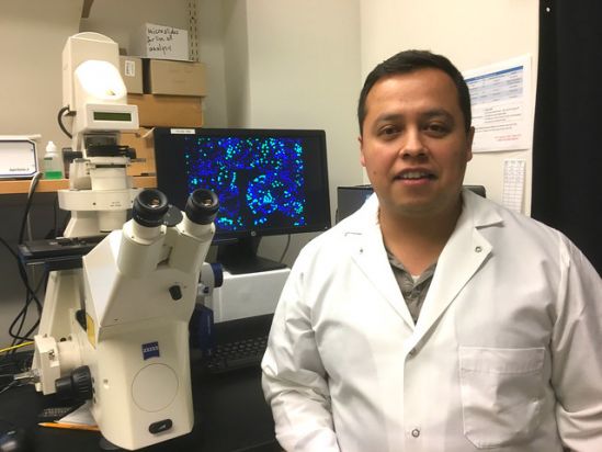 Proteina epitelial ZO-2 punto de inflexión en terapias contra el cáncer