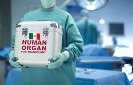 En México, 15 mil pacientes en la lista de espera para trasplante de riñón