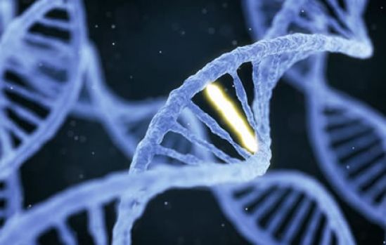 Presenta SOHIN medicina genómica para mejorar el tratamiento contra el cáncer