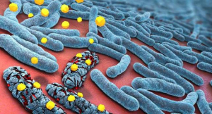 Resistencia a los Antimicrobianos, un desafío para la medicina moderna