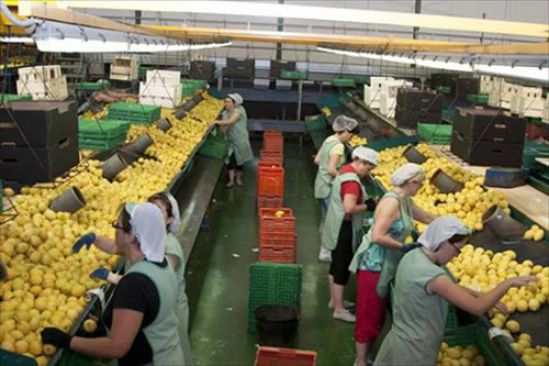 Sin Sistema Alimentario, México en riesgo de colapso sanitario: expertos