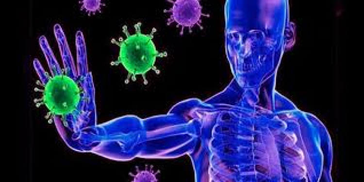 OPINIÓN :: Cinco consejos para reforzar el sistema inmunológico