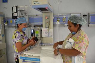 El ácido fólico previene malformaciones congénitas como espina bífida