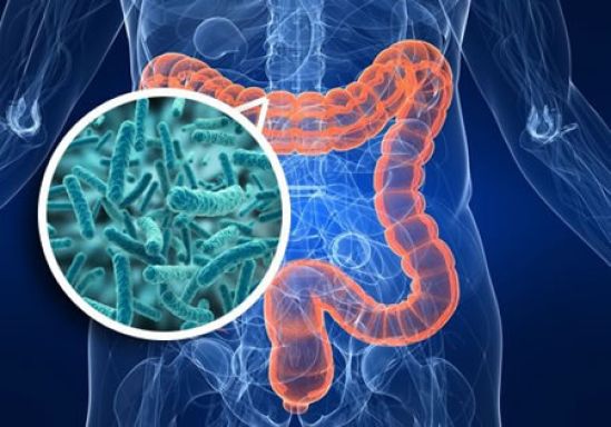 Haz del cuidado de tu flora intestinal, el mayor propósito de año nuevo