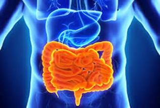 Seis curiosidades acerca de la microbiota intestinal que debe conocer