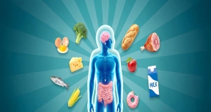 La conexión entre intestino-emociones y cómo nos afecta