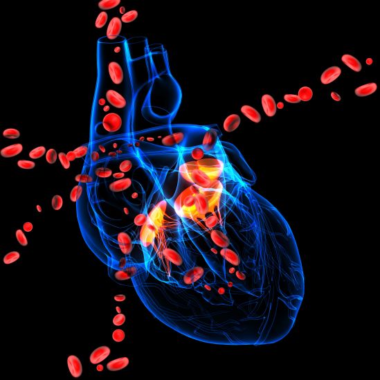 El futuro de la cardiología, aquí y ahora