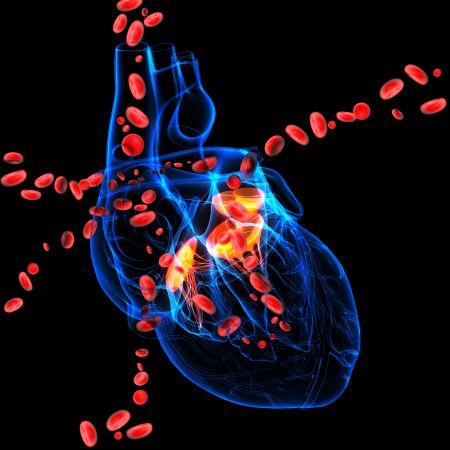 El futuro de la cardiología, aquí y ahora