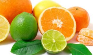 Recomiendan consumo de frutos cítricos en invierno 