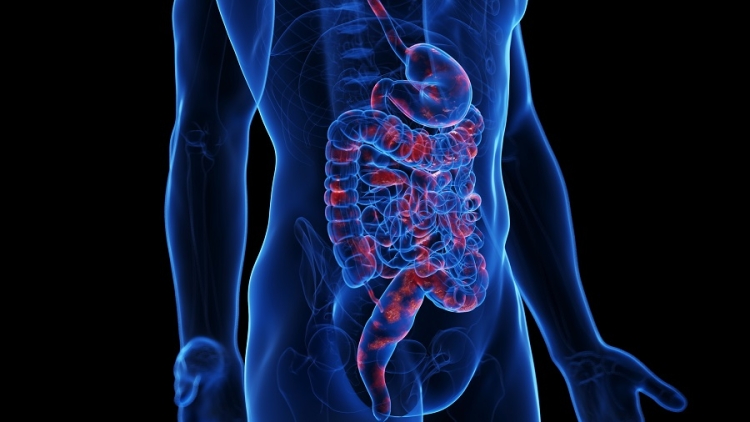 Se crea alianza entre Ferring Pharmaceuticals y Pierre Fabre para cuidar la salud gastrointestinal, hepática y hemostásica de los mexicanos