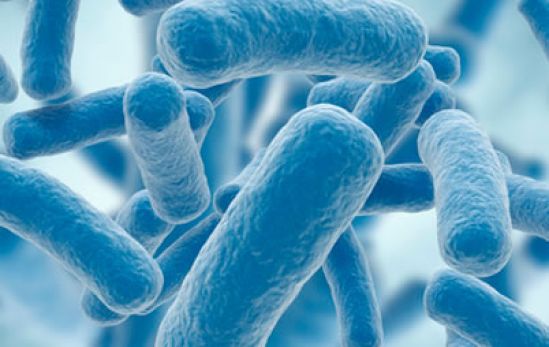 El balance adecuado de bacterias benéficas ayuda a que nuestro cuerpo funcione de manera adecuada