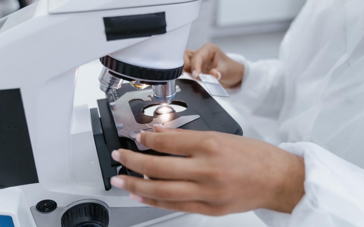 Mayo Clinic utiliza un banco biológico de tejido mamario para ayudar en los avances de la investigación contra el cáncer de mama
