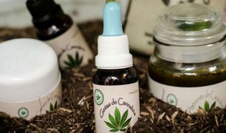 Presentan los detalles de los Lineamientos en Materia de Control Sanitario de la Cannabis y Derivados de la Misma