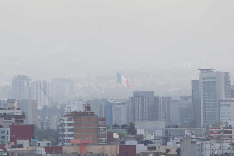 Contaminación ambiental, factor de enfermedades neurodegenerativas