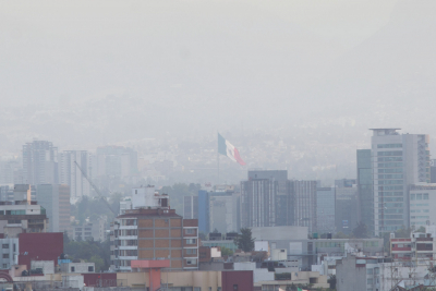 Contaminación ambiental, factor de enfermedades neurodegenerativas