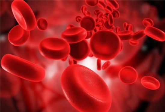 Más de 5 mil mexicanos padecen hemofilia y 7 de cada 10 no están diagnosticados adecuadamente