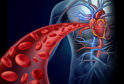 Mantente alerta a los síntomas de las enfermedades del corazón