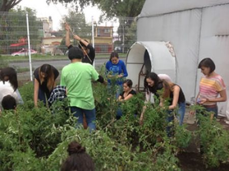 Alumnos del TecMTY implementan plan para favorecer la seguridad alimentaria en la comunidad Mazahua 
