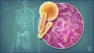 Método de nutrición personalizado para el control de los niveles de la glucosa sanguínea