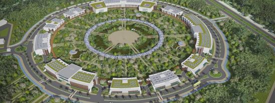 Crean microarreglos para detectar 280 patógenos