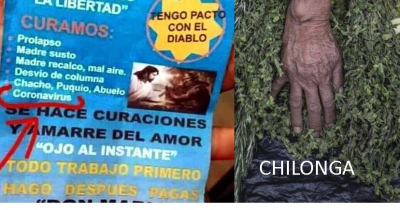 Pa´l Covid: hierba chilonga
