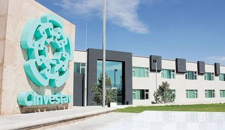 Analizan el papel de la miosina1e en el proceso de inflamación