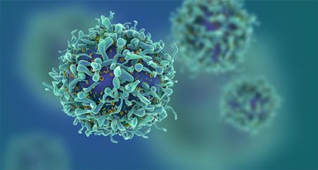 Inmunoterapia, directo al tumor