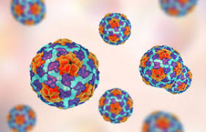 México segundo país de AL con mayor número de personas portadoras del virus de la Hepatitis C