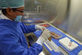 Banco de piel del INR, con estándares de calidad en el servicios en América Latina