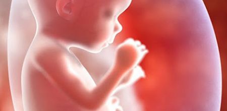 Cinco cosas que debes saber sobre el aborto