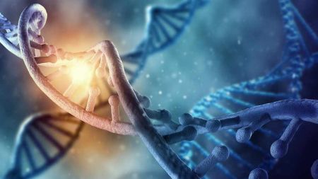 Los senolíticos mejoran la salud y prolongan la vida: resultados del estudio preclínico