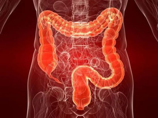 Gastritis, colitis y problemas de columna: ¿Cuál es su relación?