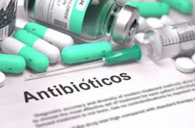 Buscan en la UNAM inhibir resistencia de microorganismos a antibióticos