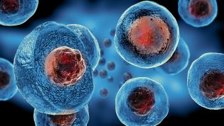 CryoHoldco y principales bancos privados de células madre hacen convenio con Celltex