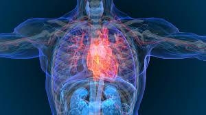 OPINIÓN :: Amiloidosis, enfermedad discapacitante, progresiva y mortal